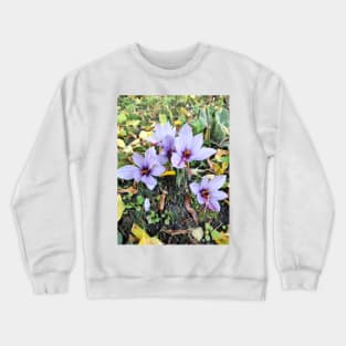 Beautiful saffron flowers Crewneck Sweatshirt
